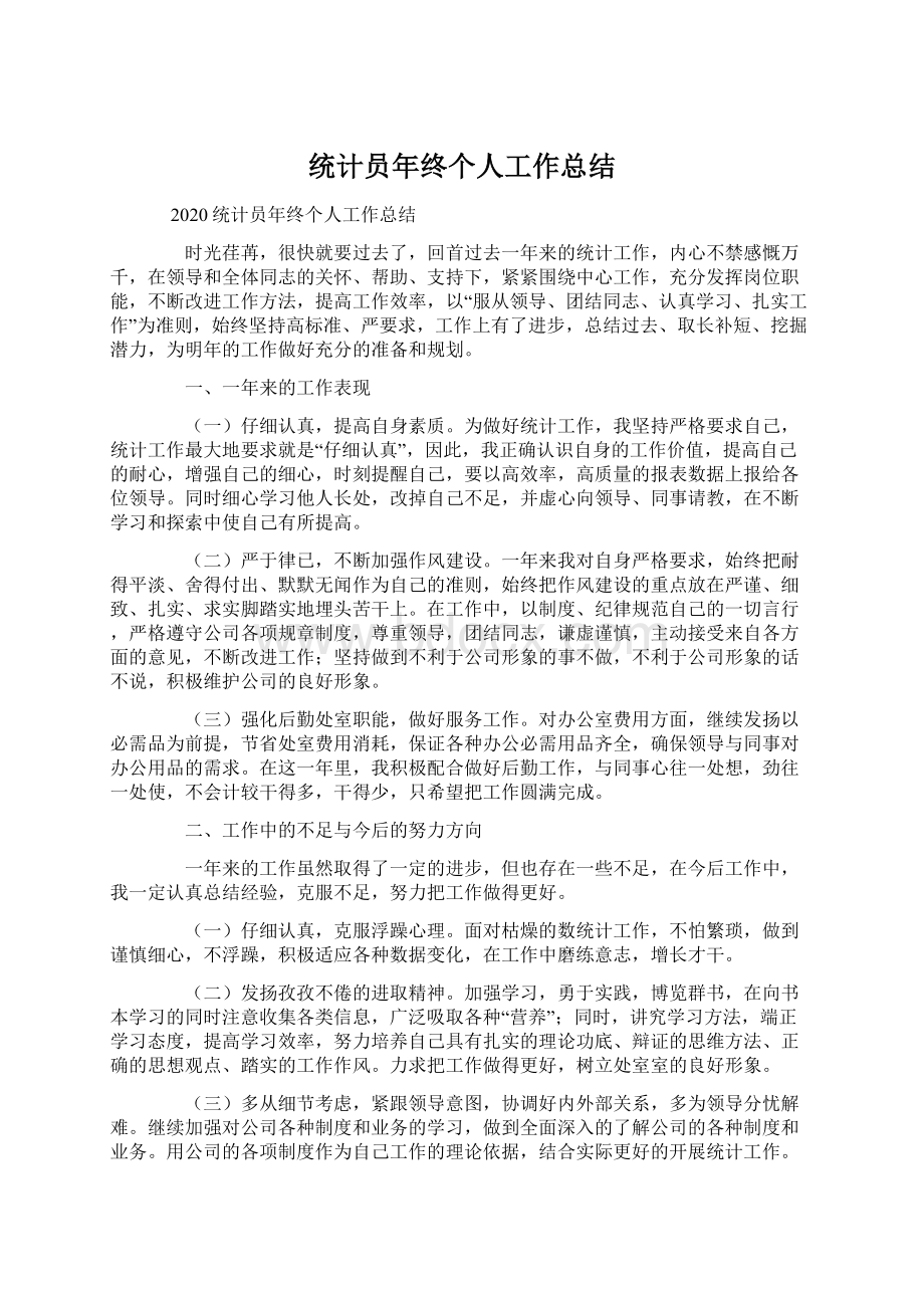 统计员年终个人工作总结Word文档格式.docx_第1页