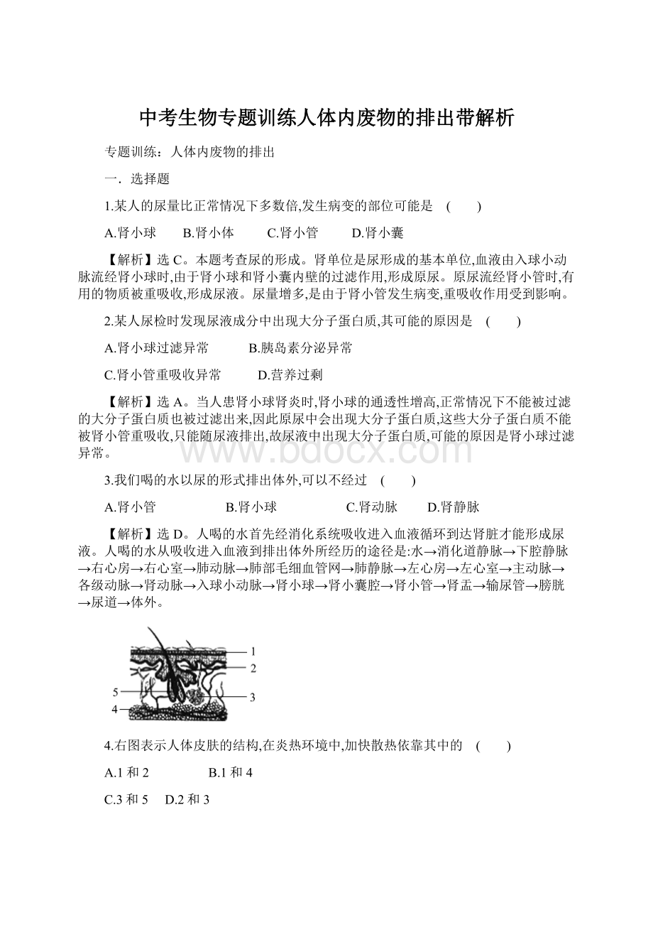 中考生物专题训练人体内废物的排出带解析Word格式文档下载.docx_第1页