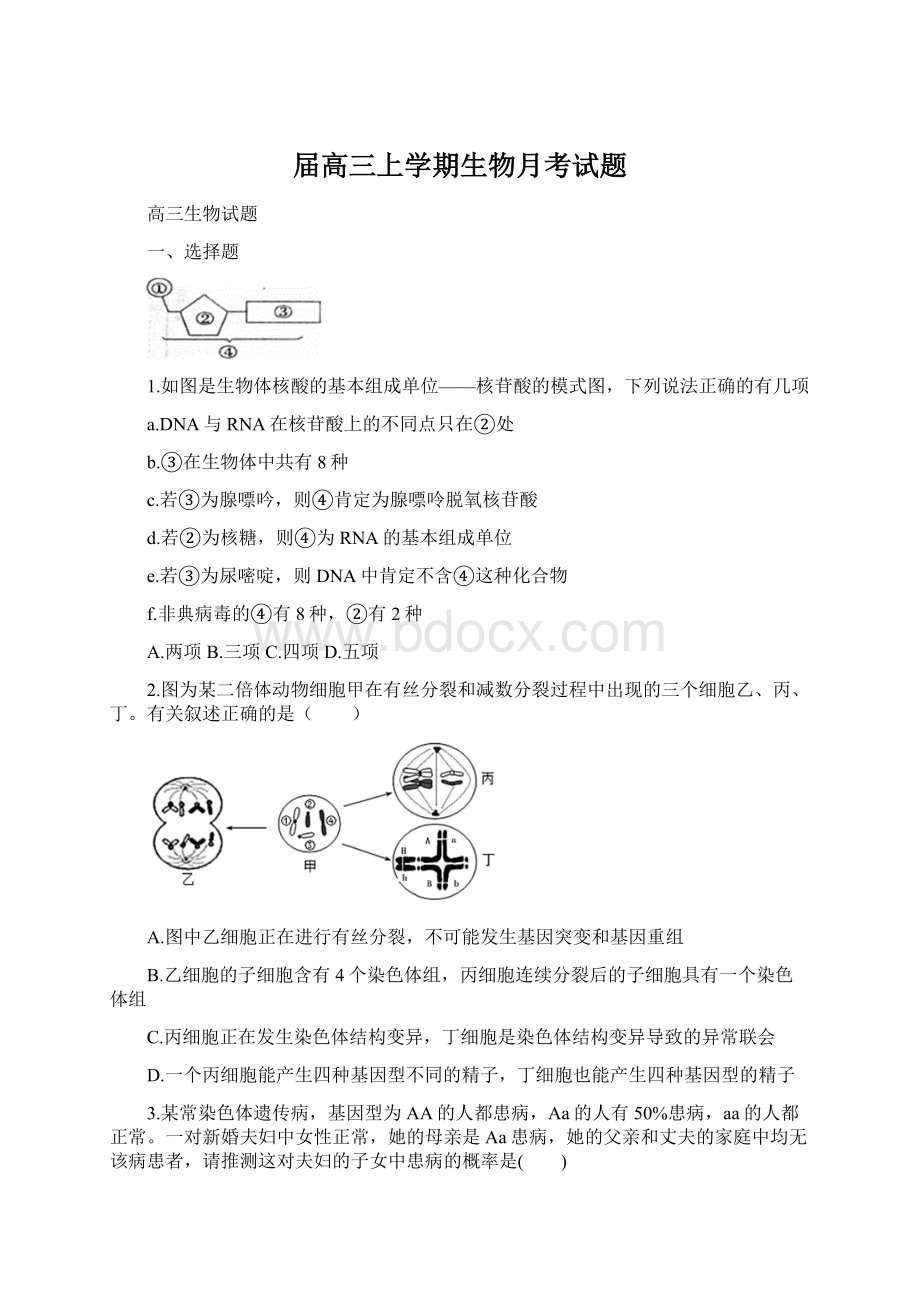 届高三上学期生物月考试题Word格式文档下载.docx_第1页