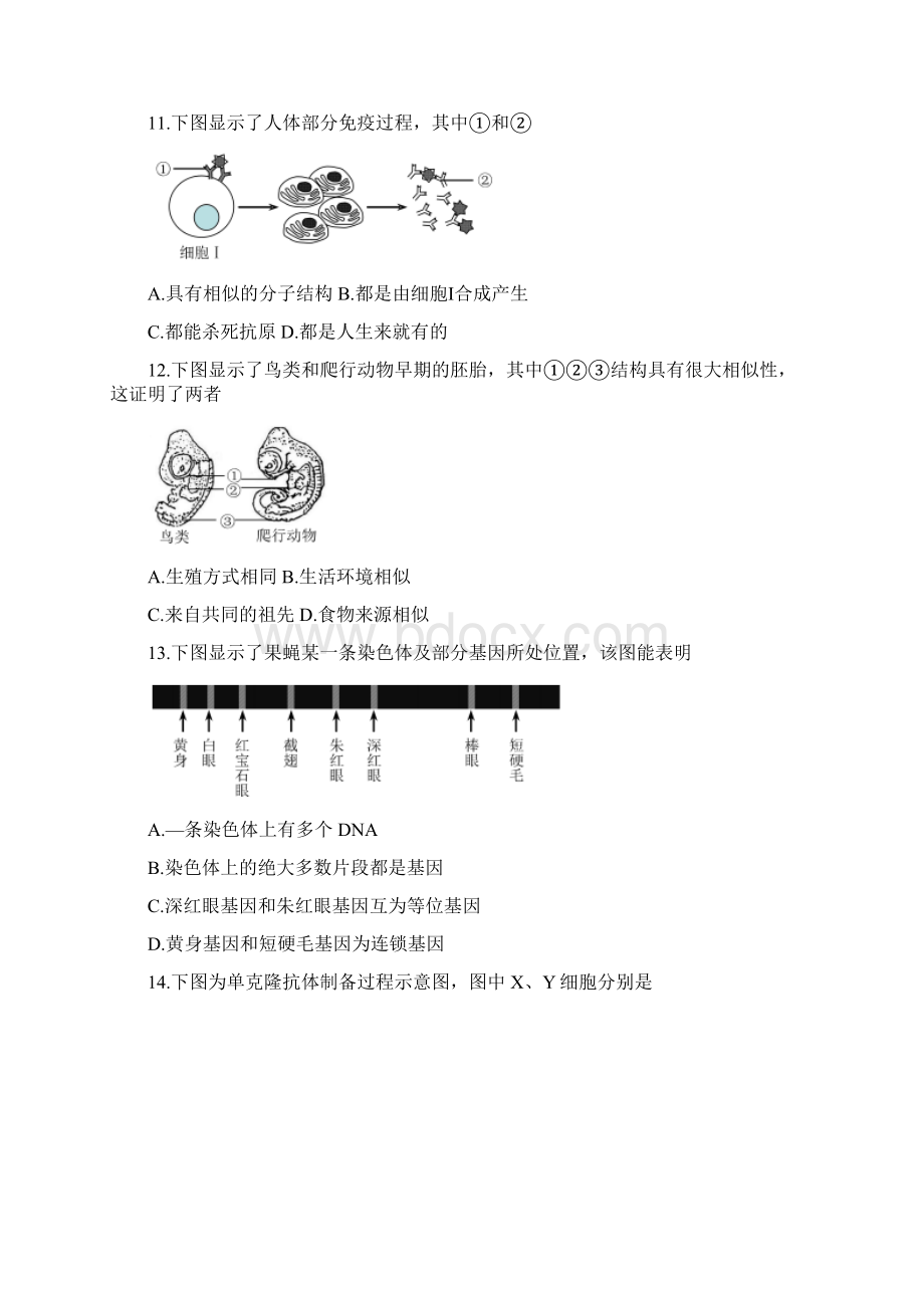 上海市虹口区高三二模生物试题Word版含答案.docx_第3页