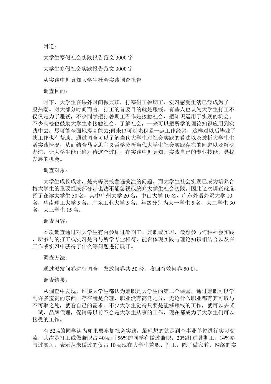 大学生寒假社会实践报告范文Word下载.docx_第3页