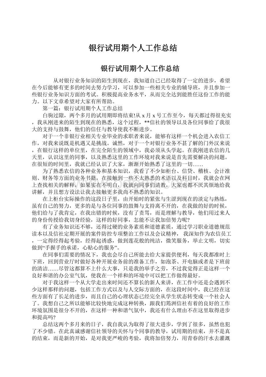 银行试用期个人工作总结.docx