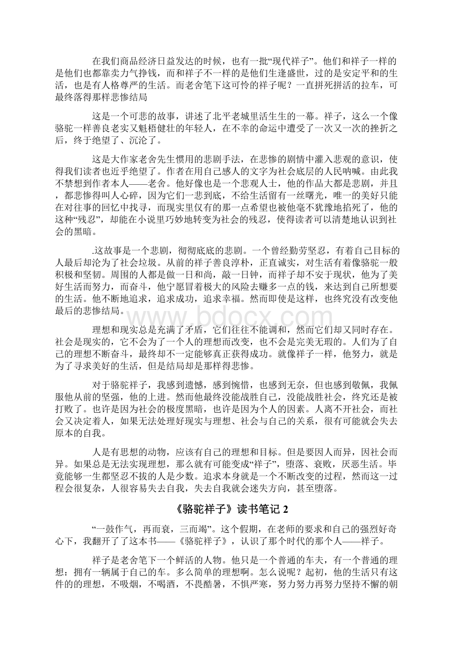 《骆驼祥子》读书笔记模板Word格式.docx_第2页