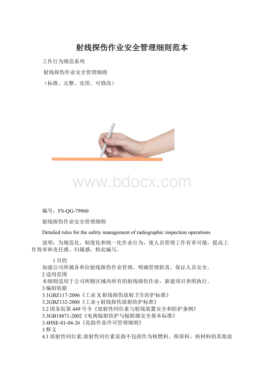 射线探伤作业安全管理细则范本文档格式.docx