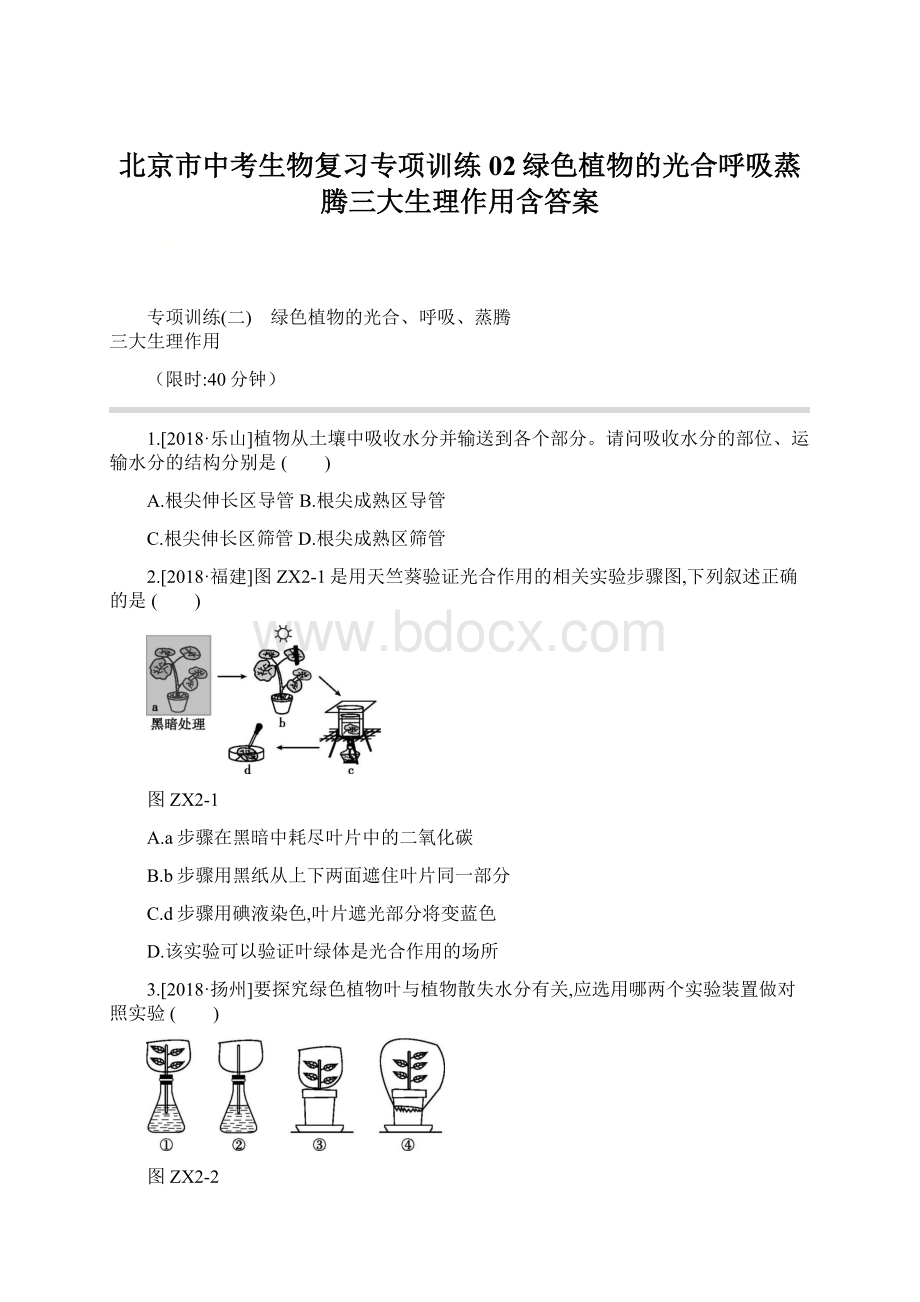 北京市中考生物复习专项训练02绿色植物的光合呼吸蒸腾三大生理作用含答案.docx