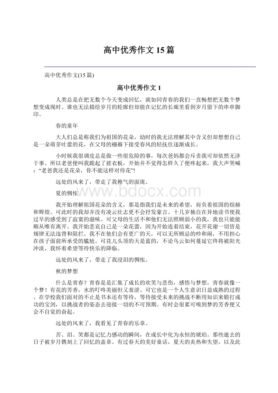 高中优秀作文15篇文档格式.docx