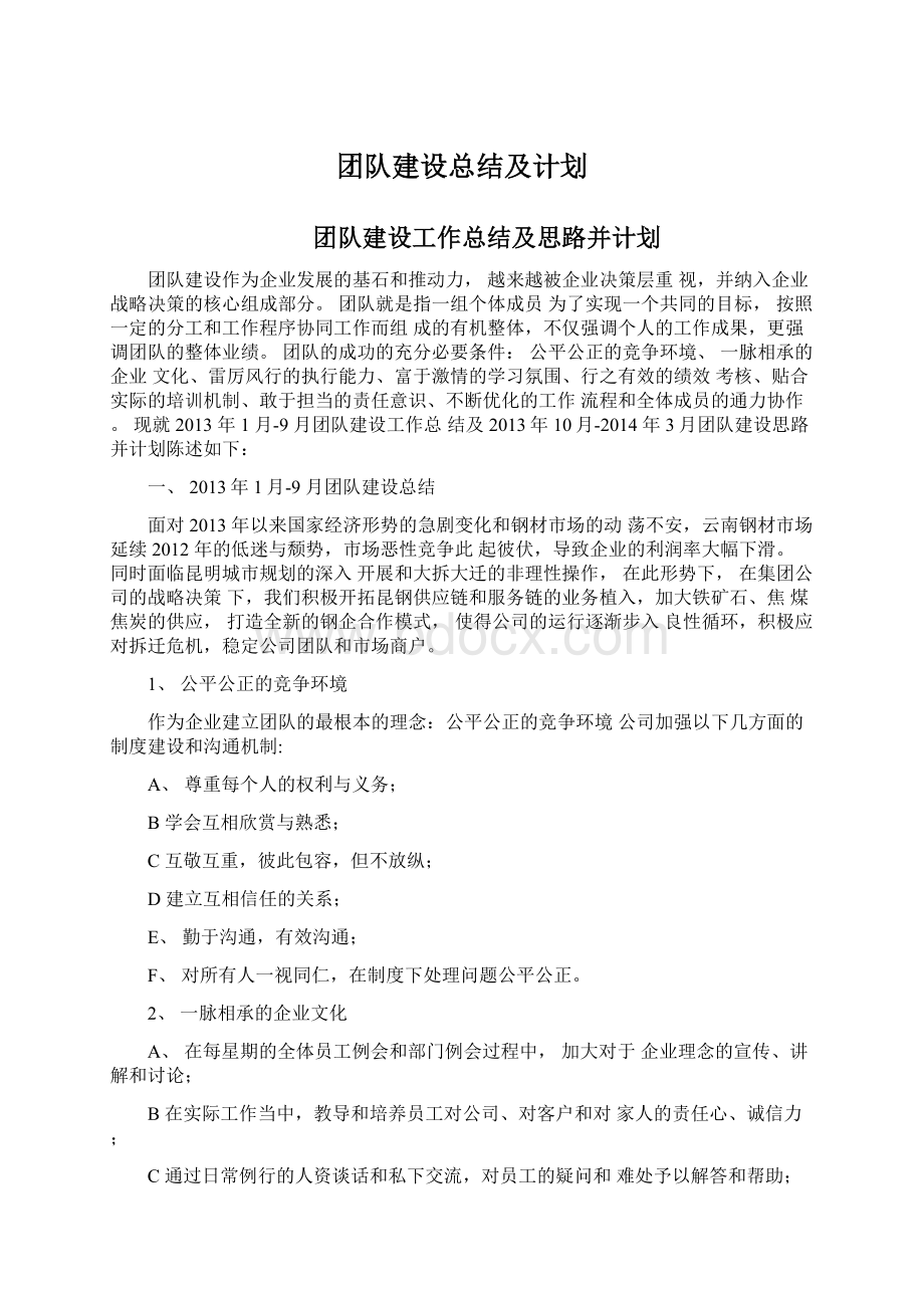 团队建设总结及计划Word格式文档下载.docx