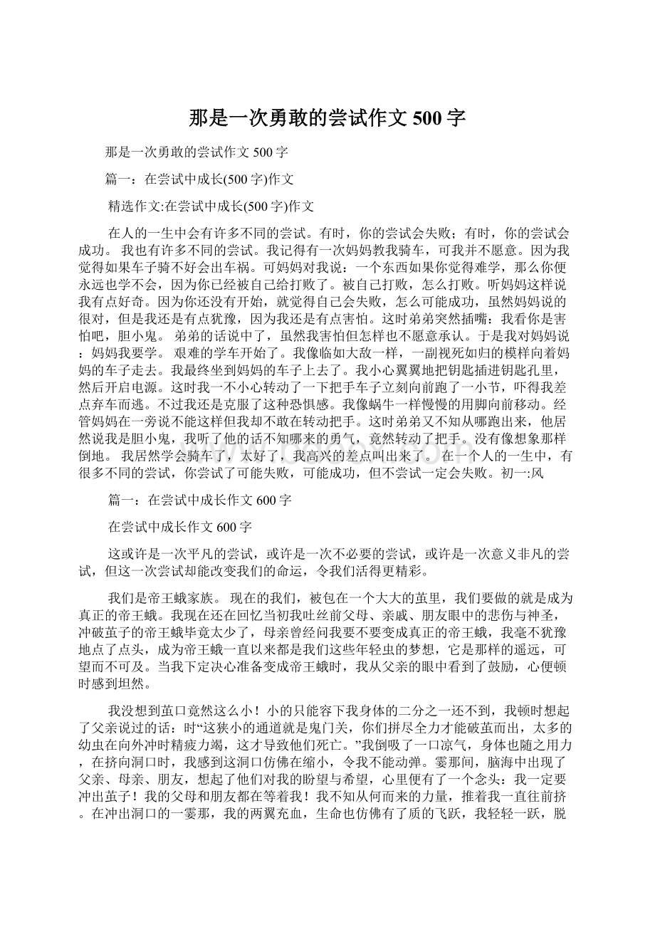 那是一次勇敢的尝试作文500字Word文档格式.docx