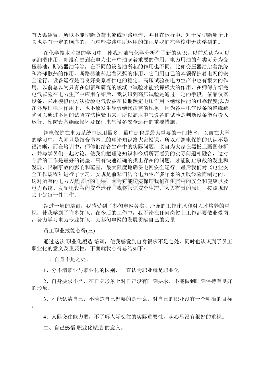 员工职业技能经验doc.docx_第3页