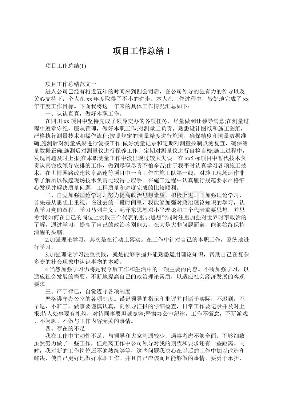 项目工作总结1文档格式.docx_第1页