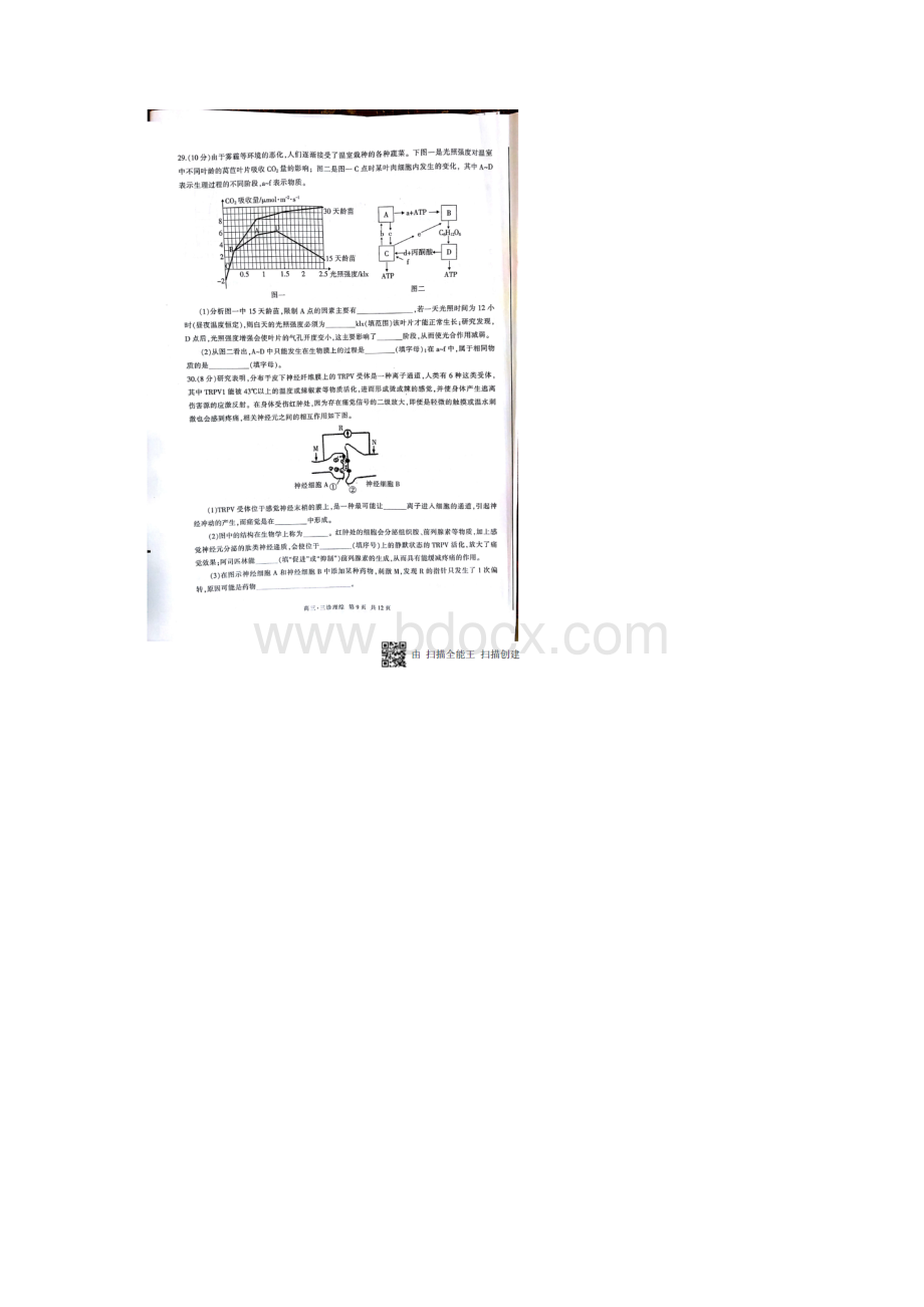 届四川省泸州市高三三诊模拟考试理综试题图片版Word格式.docx_第2页