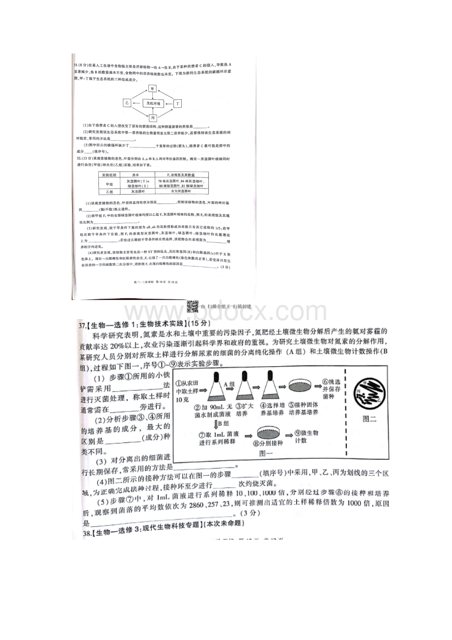 届四川省泸州市高三三诊模拟考试理综试题图片版Word格式.docx_第3页