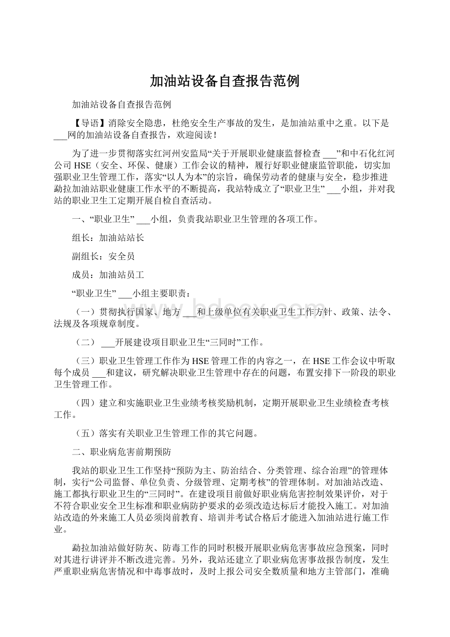 加油站设备自查报告范例Word格式文档下载.docx