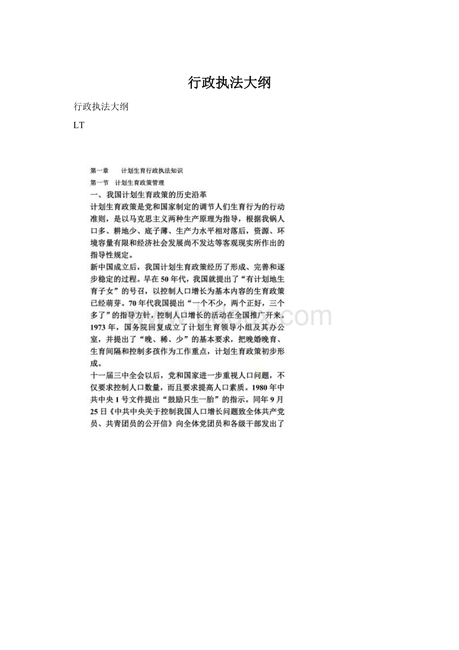 行政执法大纲Word文档格式.docx