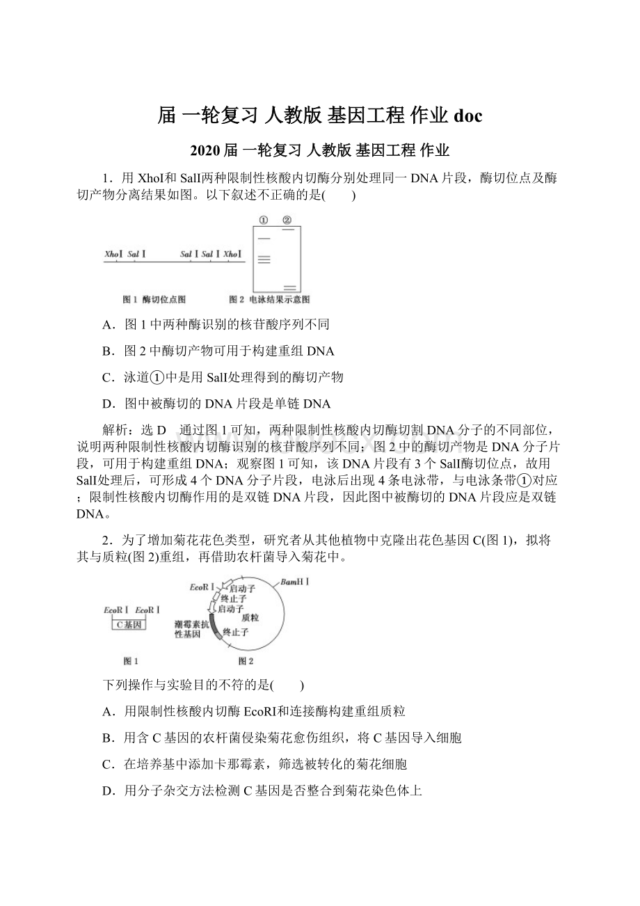 届 一轮复习 人教版 基因工程作业doc.docx