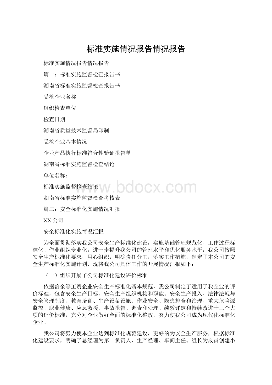 标准实施情况报告情况报告.docx