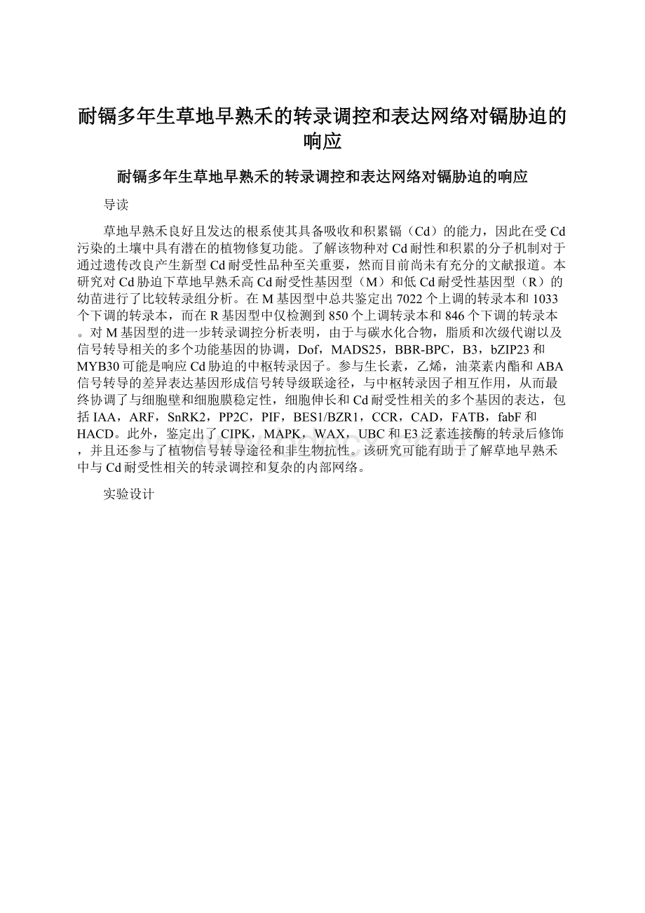 耐镉多年生草地早熟禾的转录调控和表达网络对镉胁迫的响应.docx