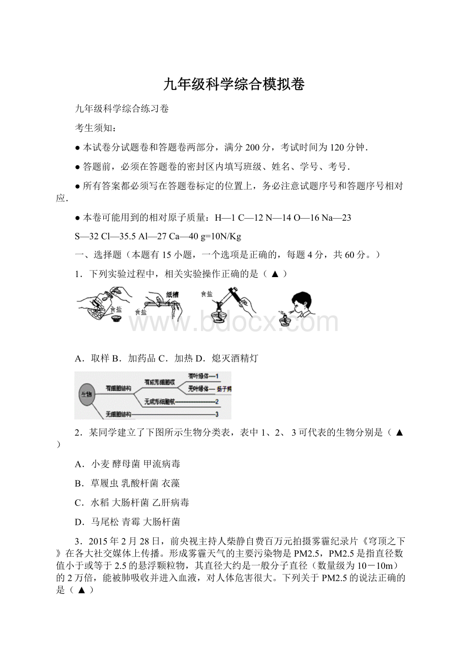 九年级科学综合模拟卷.docx