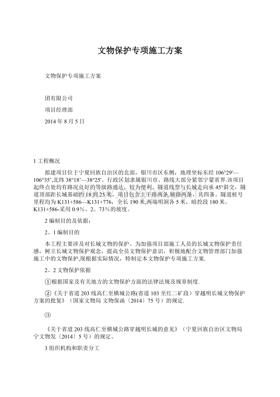 文物保护专项施工方案.docx