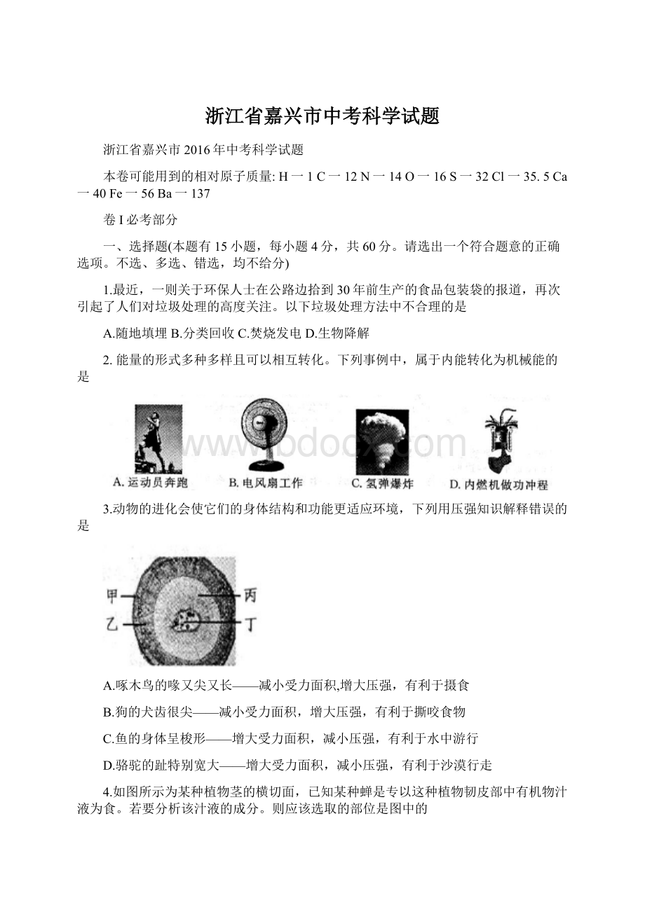 浙江省嘉兴市中考科学试题Word文档格式.docx