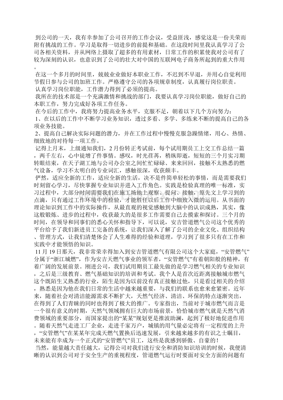 实习期个人工作总结精选15篇Word文档下载推荐.docx_第3页