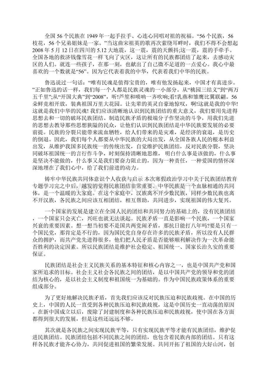 铸牢中华民族共同体意识个人收获与启示合集Word文档格式.docx_第3页