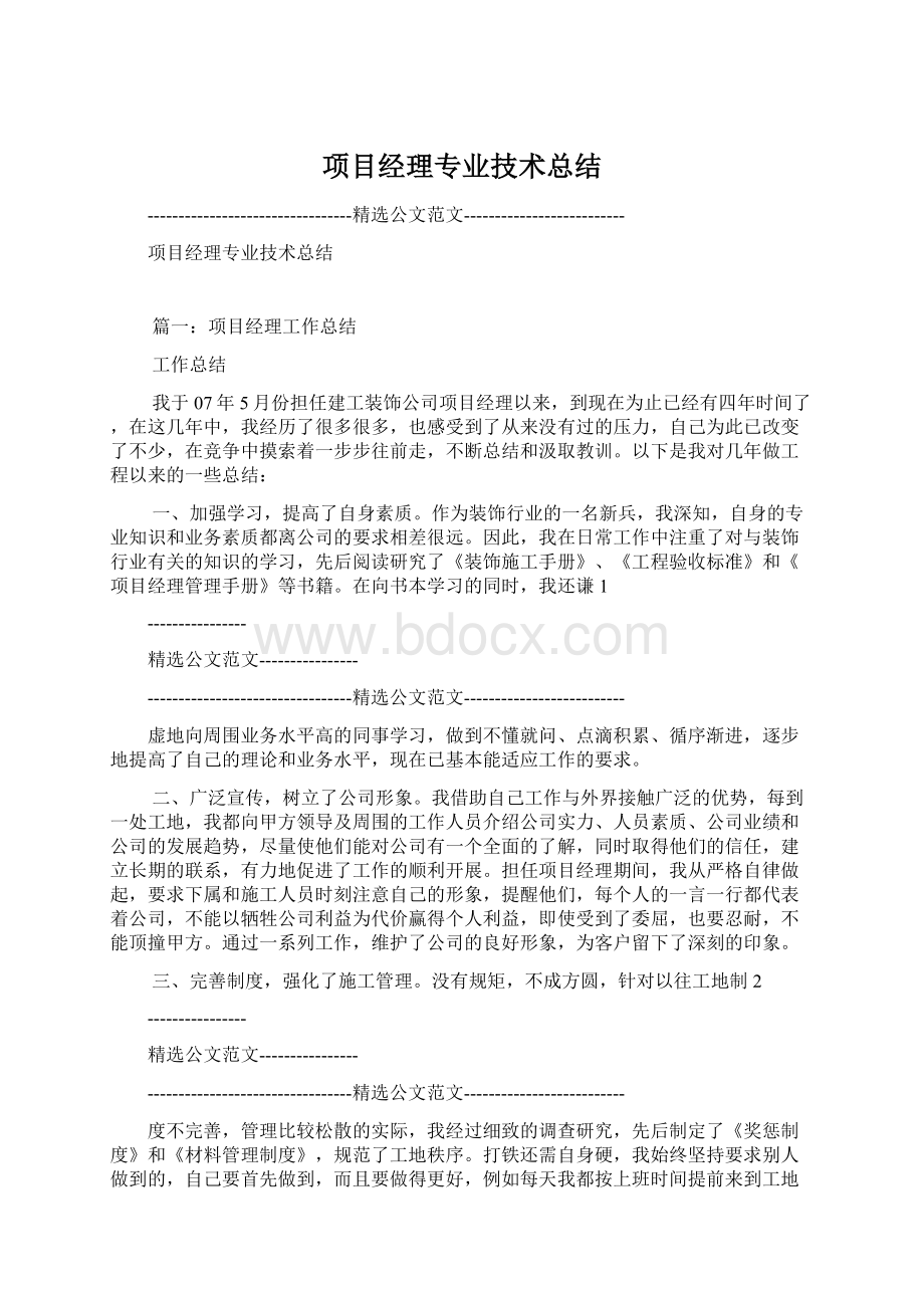 项目经理专业技术总结.docx