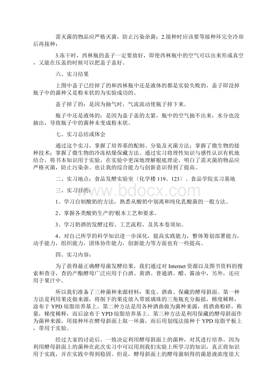 微生物实习报告精选Word格式文档下载.docx_第3页