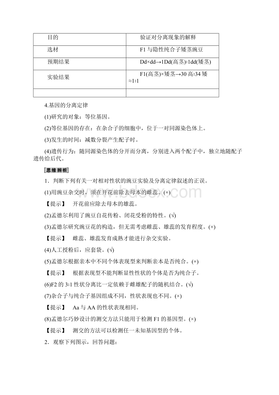 届一轮复习人教版 孟德尔的豌豆杂交实验一 教案docWord文档下载推荐.docx_第3页