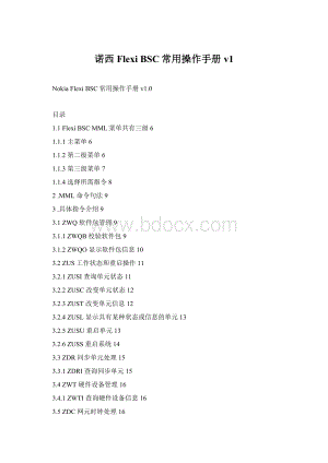 诺西Flexi BSC常用操作手册v1文档格式.docx