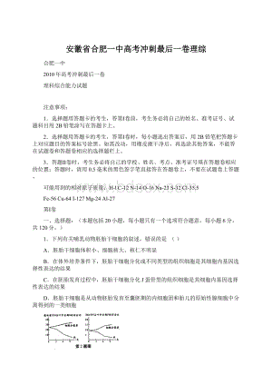 安徽省合肥一中高考冲刺最后一卷理综Word格式.docx