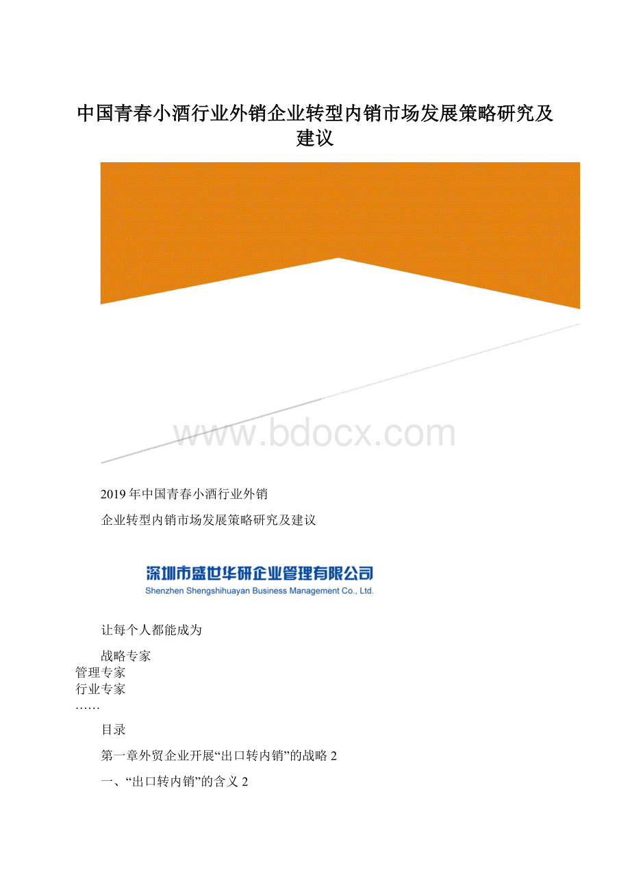 中国青春小酒行业外销企业转型内销市场发展策略研究及建议Word文件下载.docx
