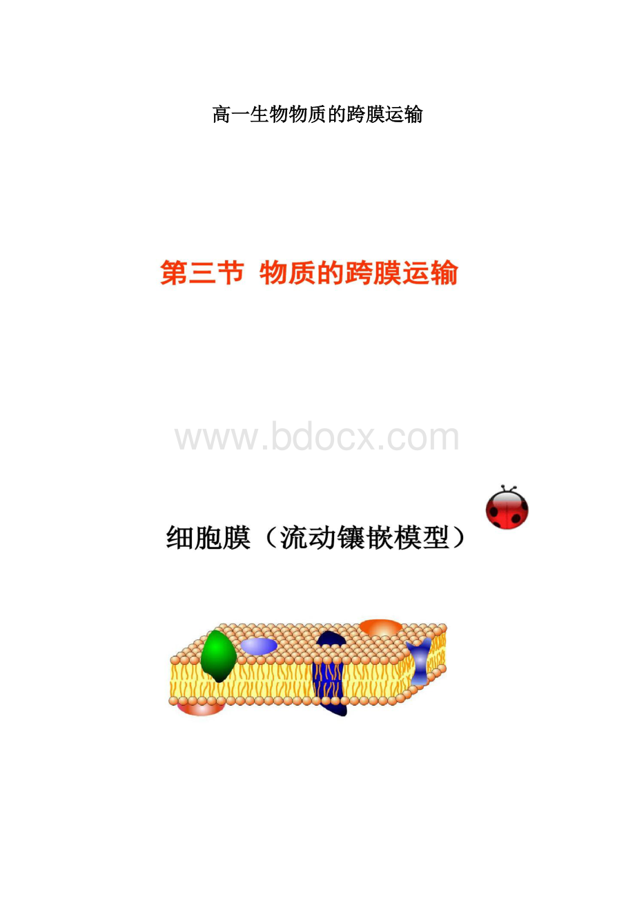 高一生物物质的跨膜运输Word格式.docx_第1页