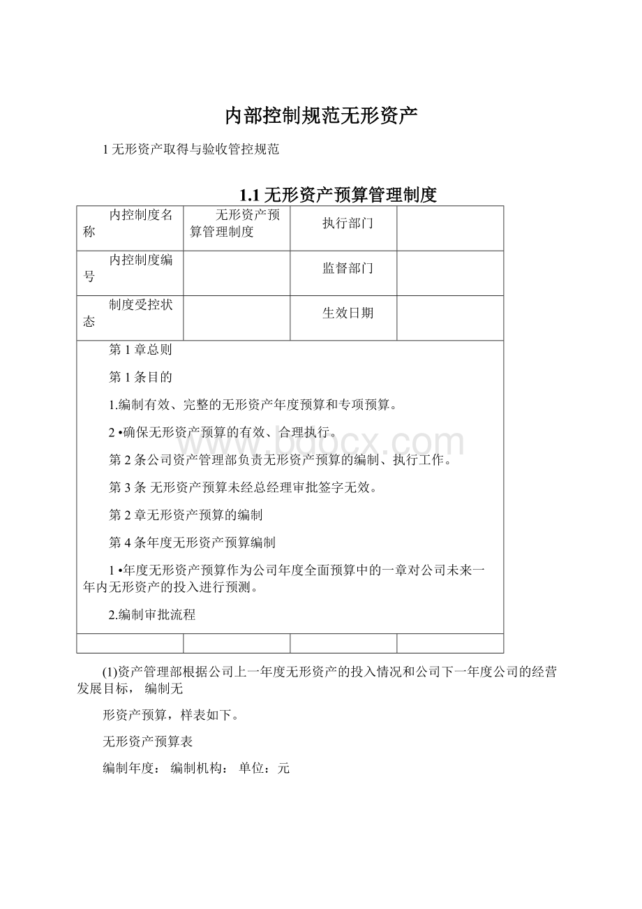 内部控制规范无形资产.docx_第1页