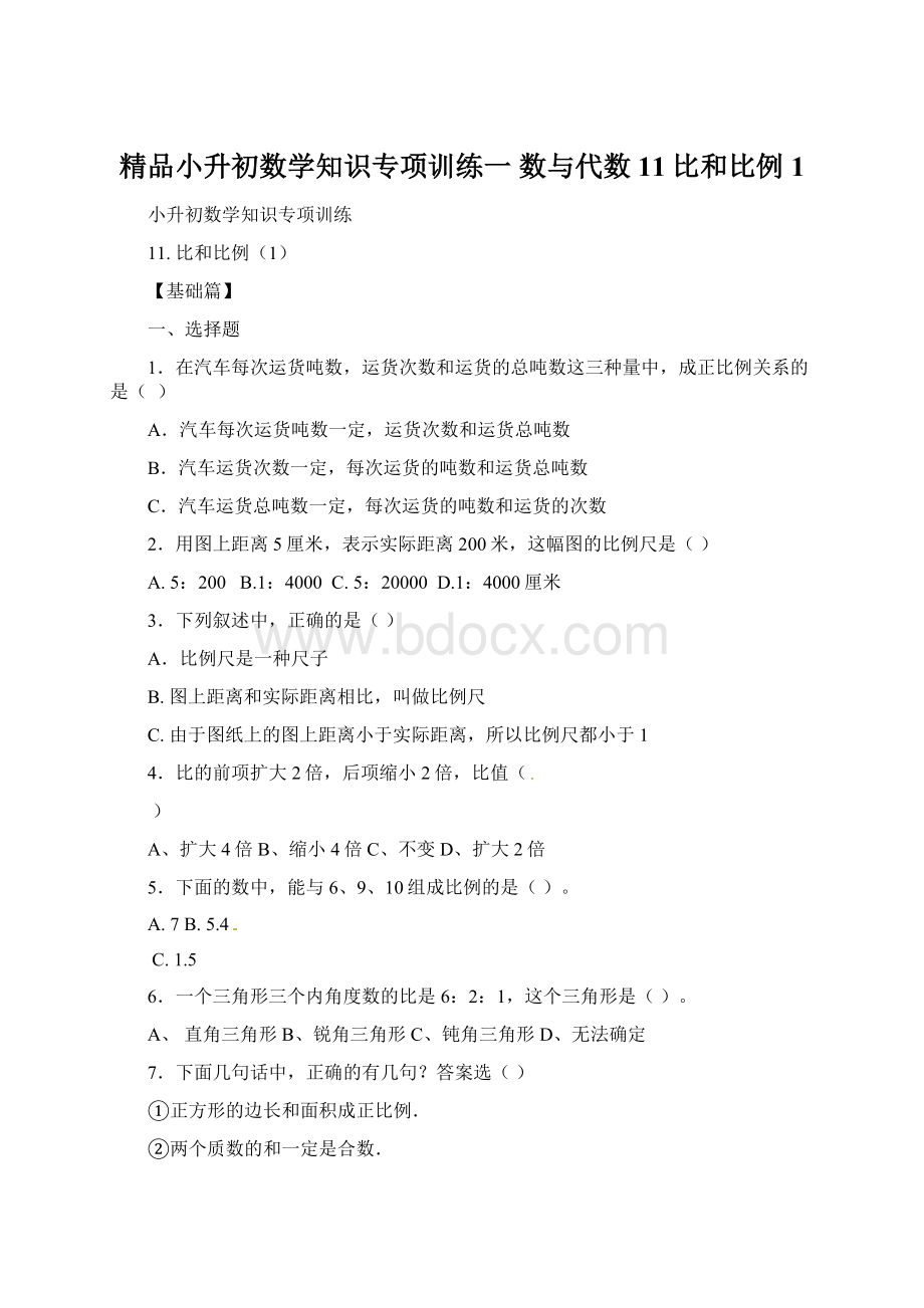 精品小升初数学知识专项训练一 数与代数11比和比例1.docx