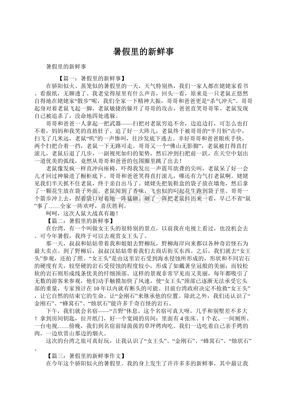 暑假里的新鲜事Word文件下载.docx_第1页