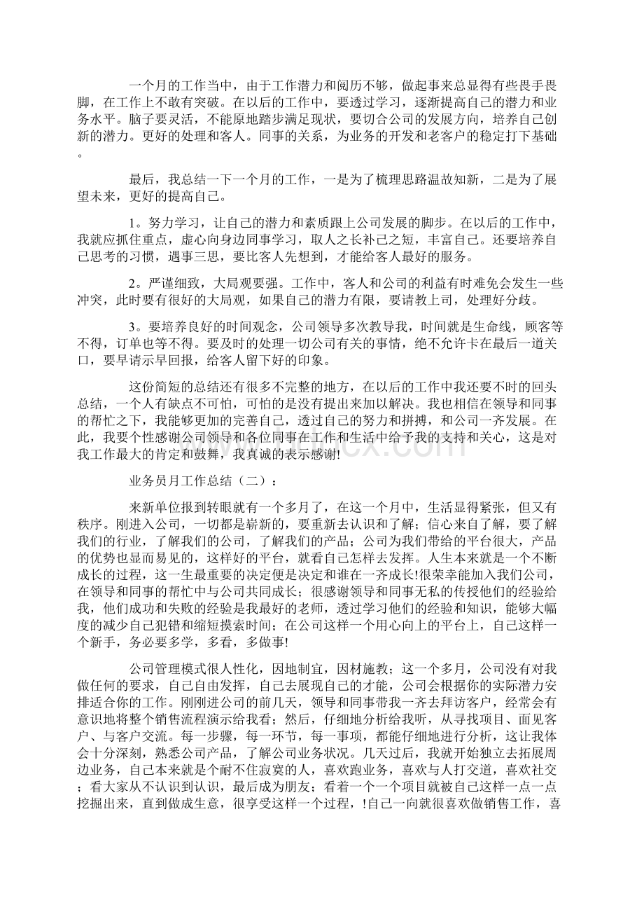 业务员月工作总结12篇Word格式文档下载.docx_第2页