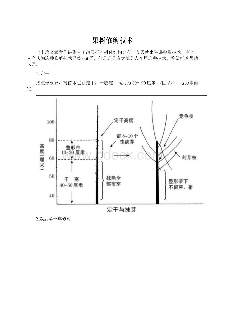 果树修剪技术.docx_第1页