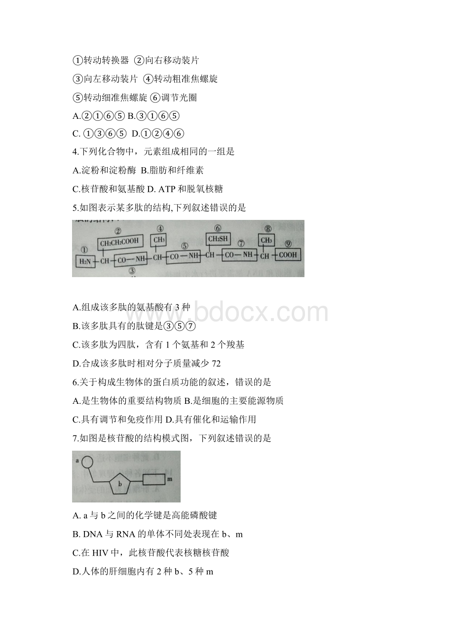 山东省临沂市学年高一上学期期末学分认定考试生物试题 Word版含答案.docx_第2页