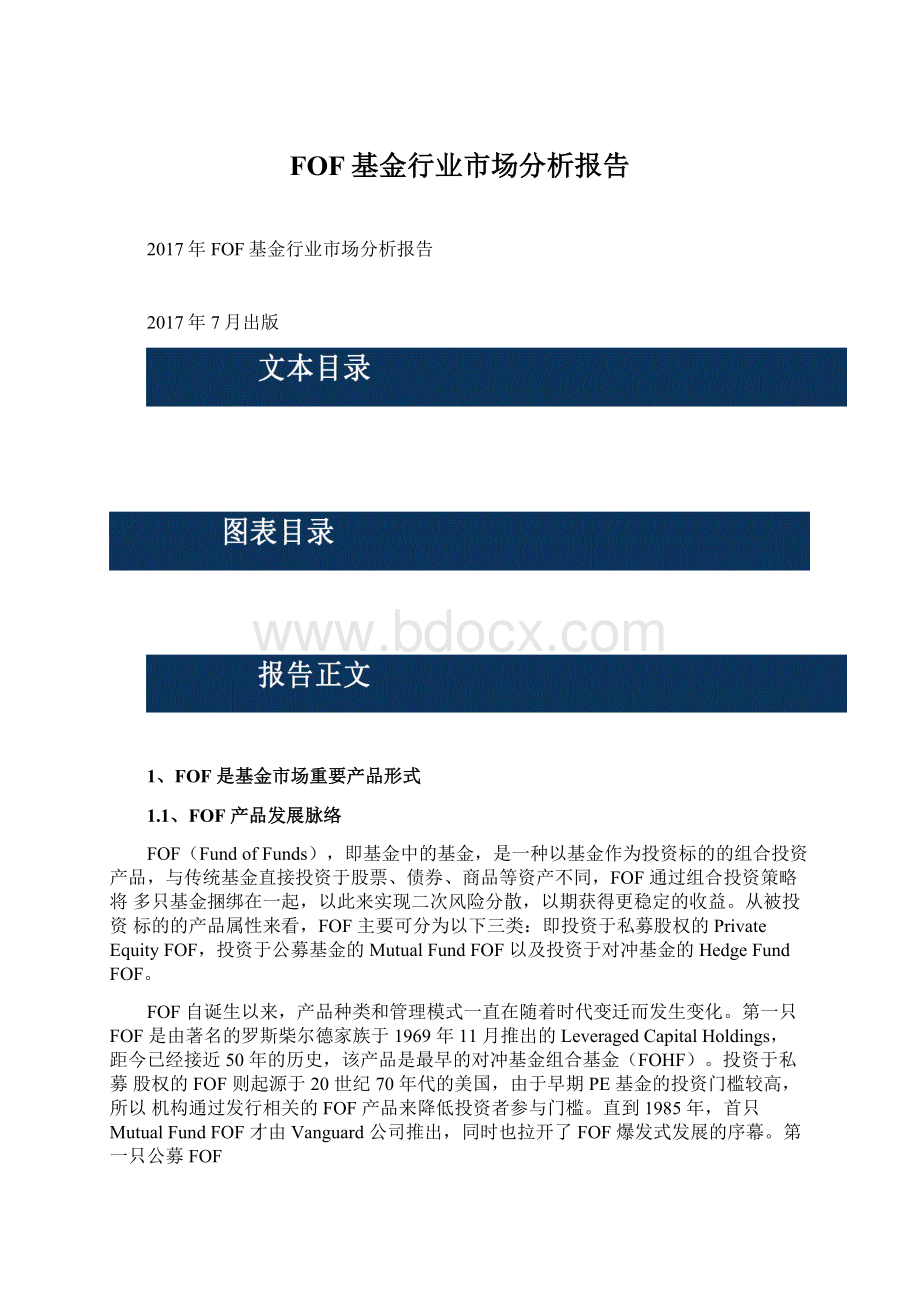 FOF基金行业市场分析报告Word文档下载推荐.docx