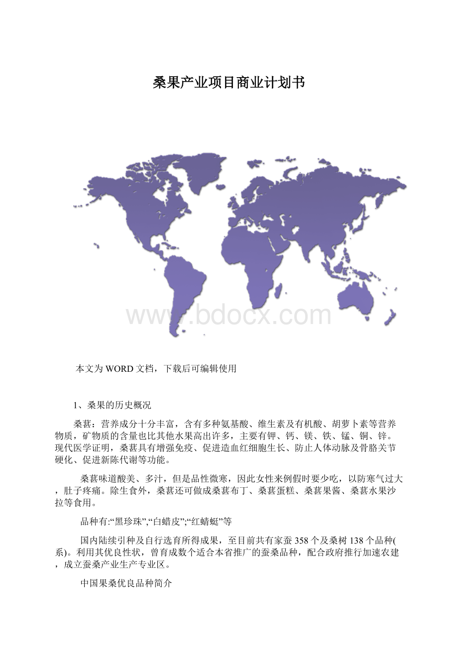 桑果产业项目商业计划书Word格式.docx_第1页