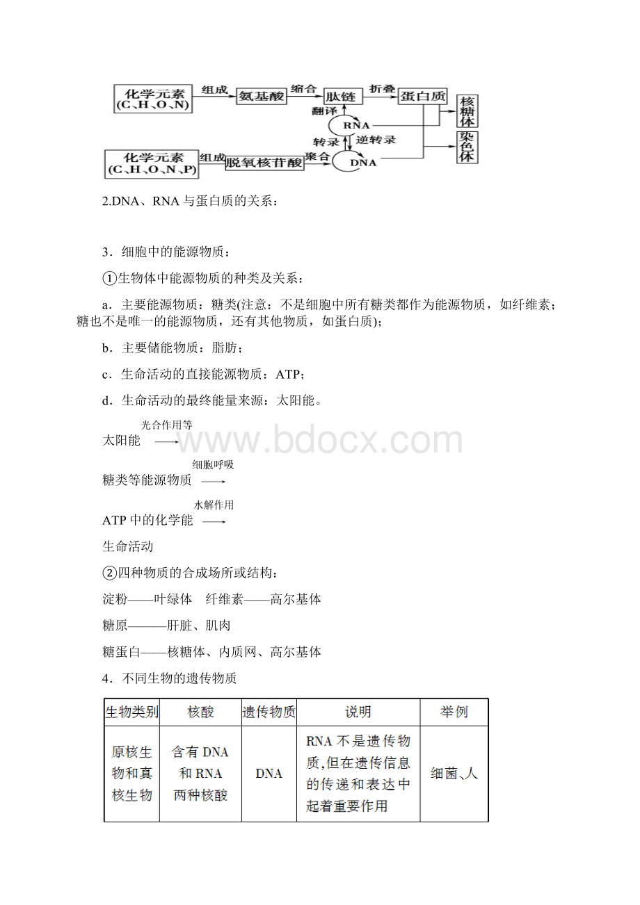 高三生物二轮复习教案Word格式.docx_第2页