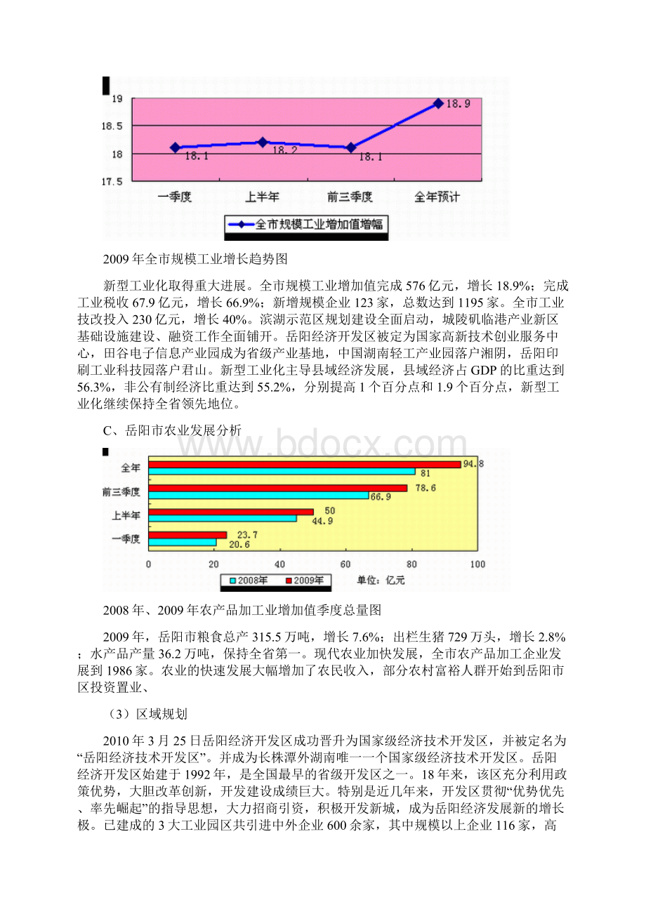 岳阳项目市场报告docWord格式.docx_第3页