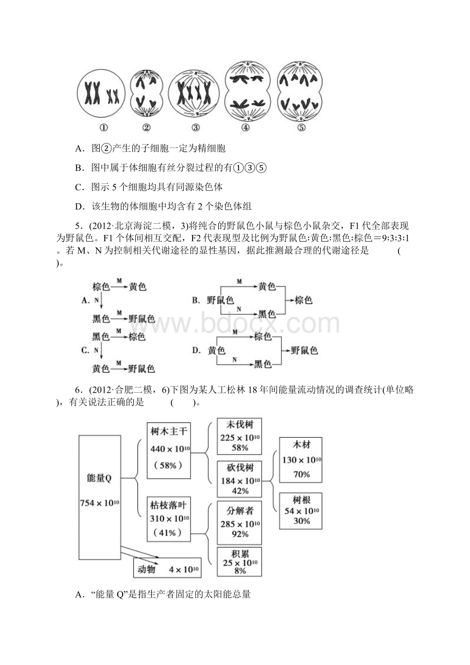 高考6+4+2选1仿真模拟卷二文档格式.docx_第2页