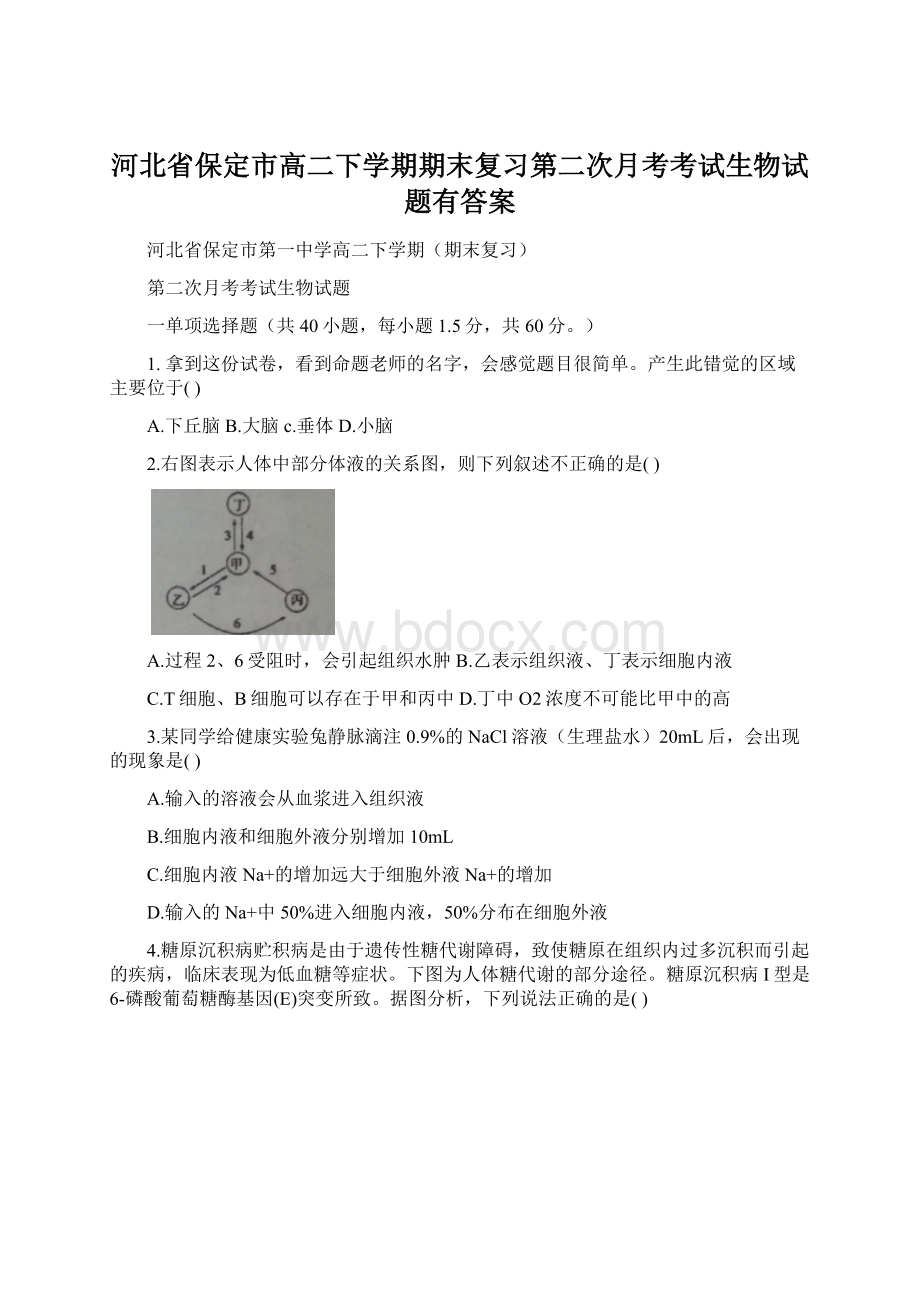 河北省保定市高二下学期期末复习第二次月考考试生物试题有答案.docx