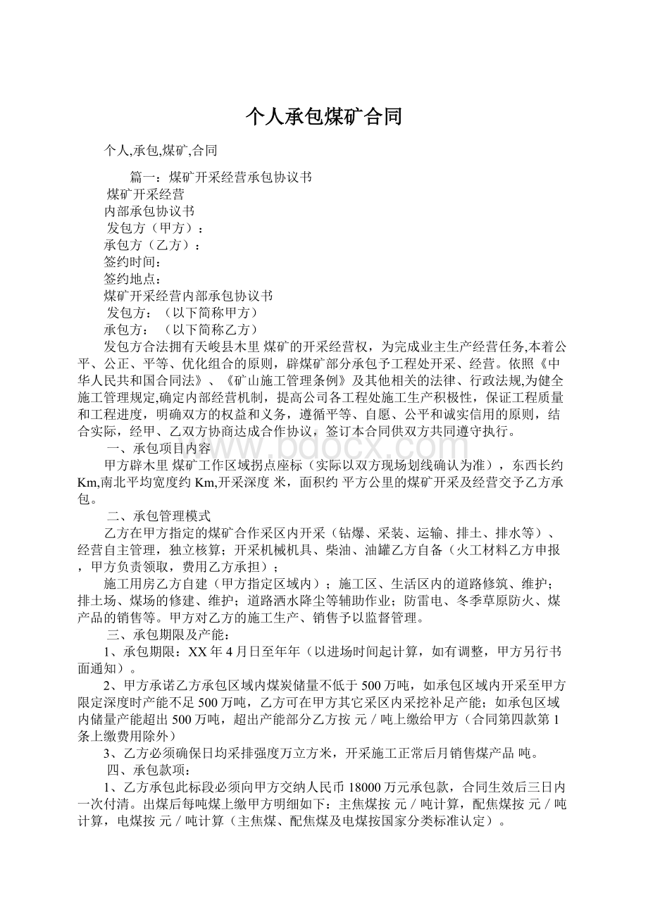 个人承包煤矿合同Word格式文档下载.docx