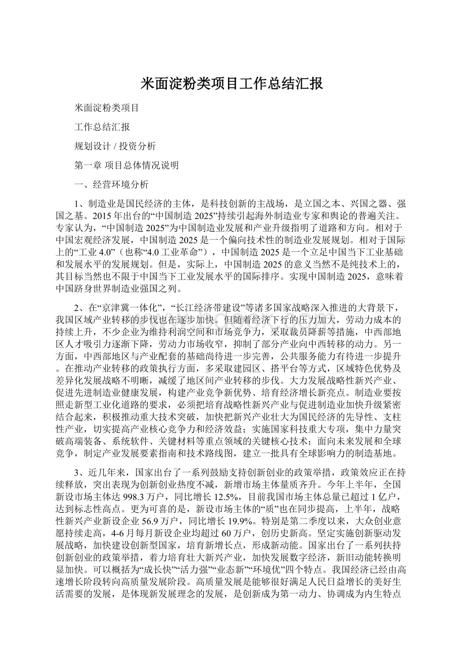 米面淀粉类项目工作总结汇报.docx