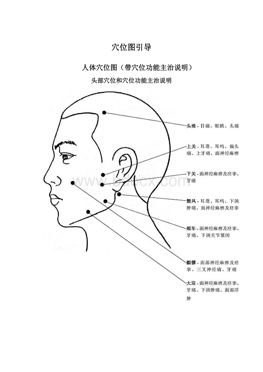 穴位图引导.docx_第1页