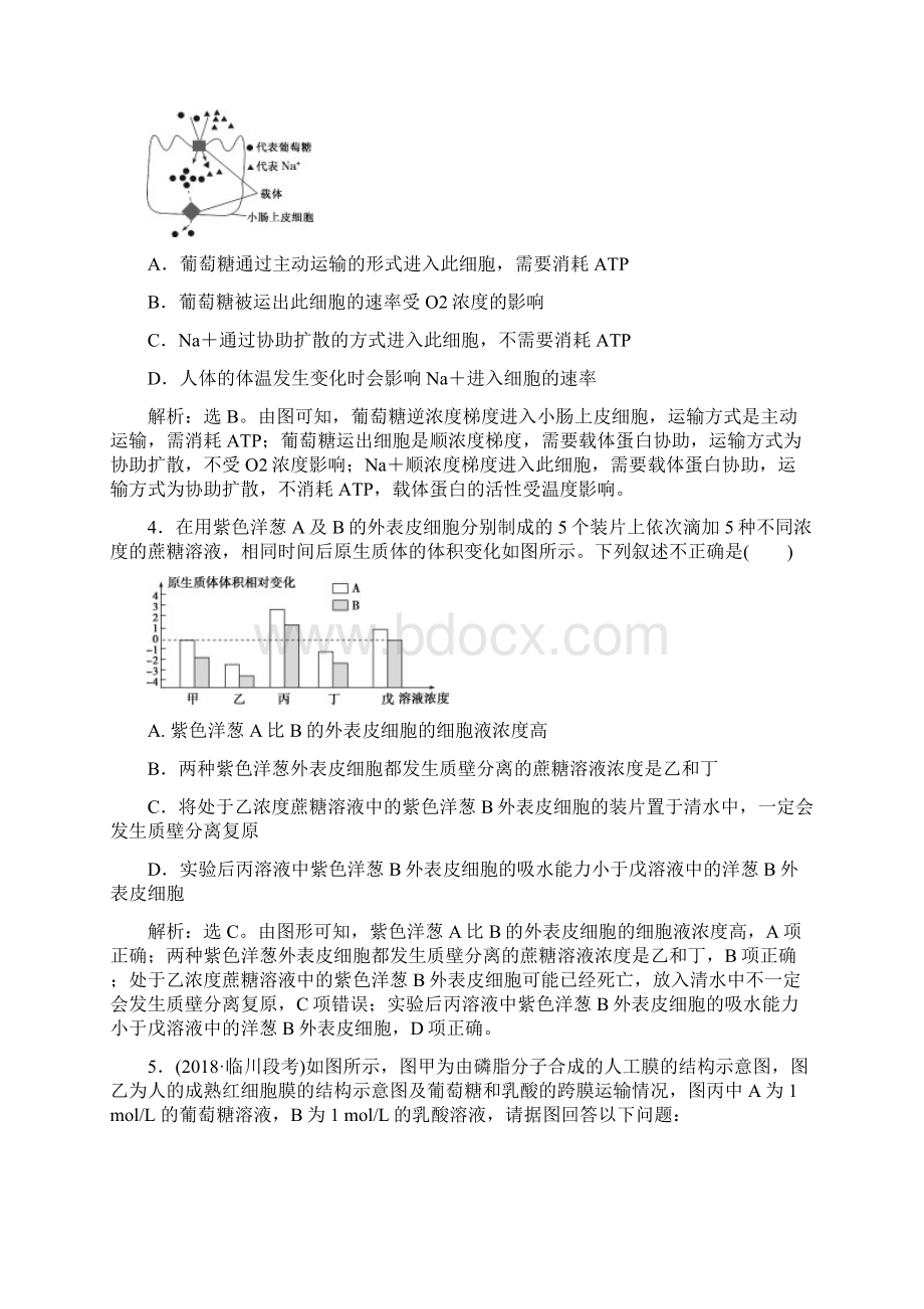 届人教版细胞的物质输入和输出单元测试Word文档格式.docx_第2页