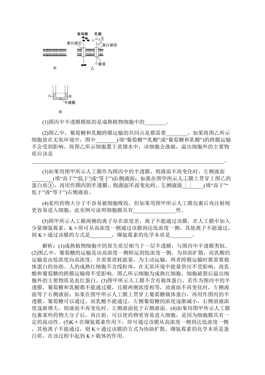 届人教版细胞的物质输入和输出单元测试Word文档格式.docx_第3页